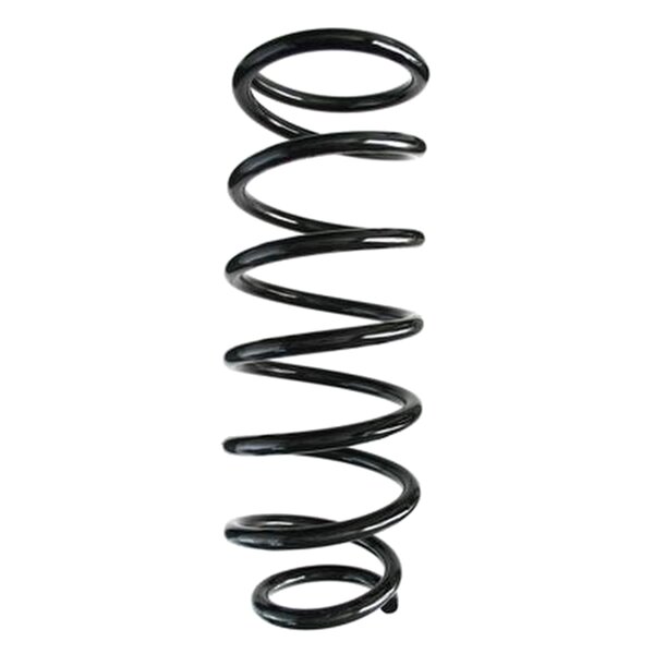 SPIDAN 55921 Fahrwerksfeder vorne