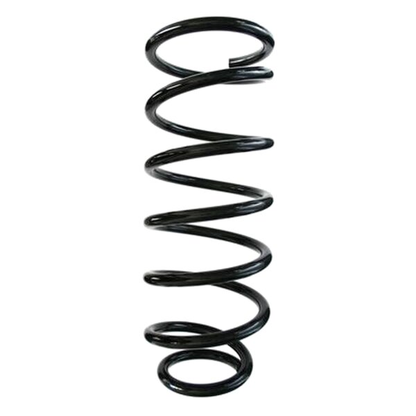 SPIDAN 55922 Fahrwerksfeder vorne