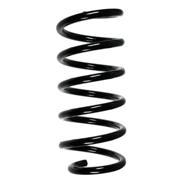 SPIDAN 55947 Fahrwerksfeder vorne