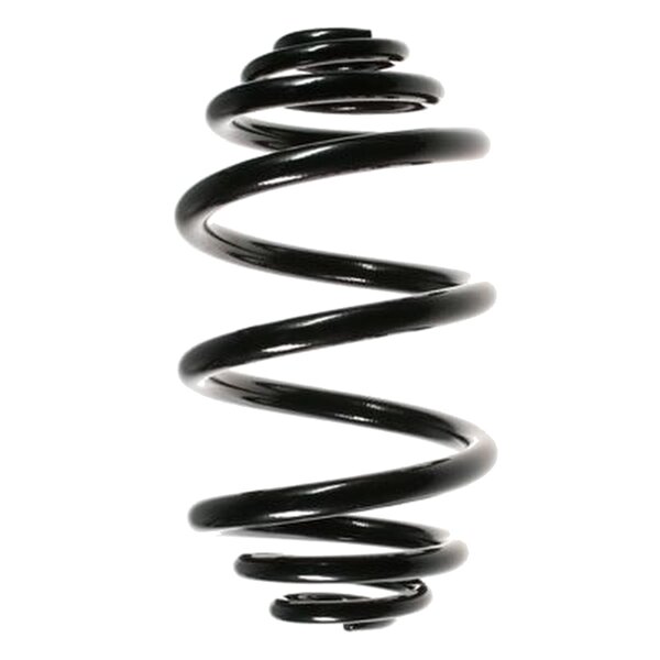 SPIDAN 55954 Fahrwerksfeder hinten