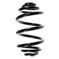 SPIDAN 55954 Fahrwerksfeder hinten