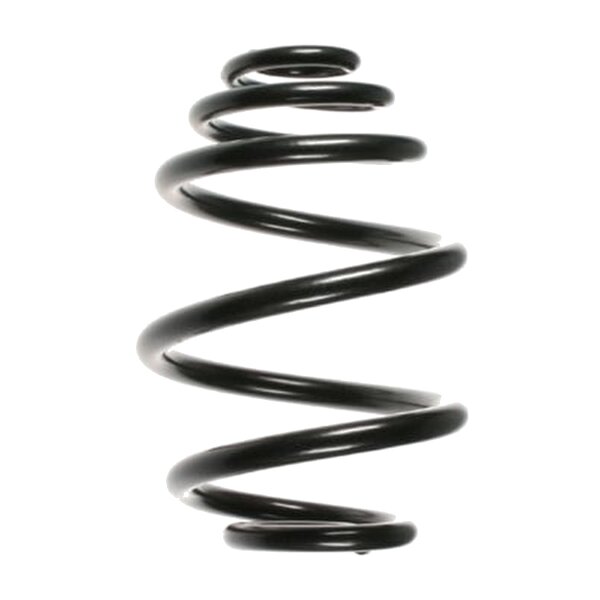 SPIDAN 55957 Fahrwerksfeder hinten