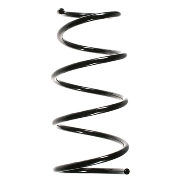 SPIDAN 56142 Fahrwerksfeder vorne