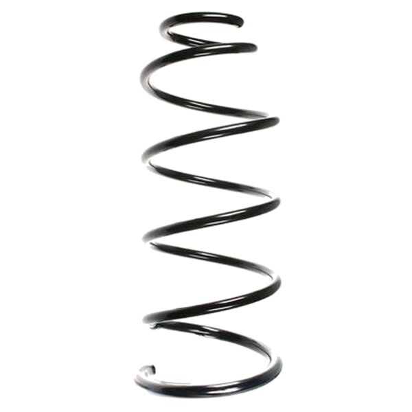 SPIDAN 56069 Fahrwerksfeder vorne