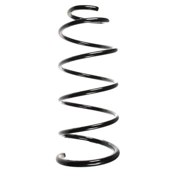 SPIDAN 56071 Fahrwerksfeder vorne