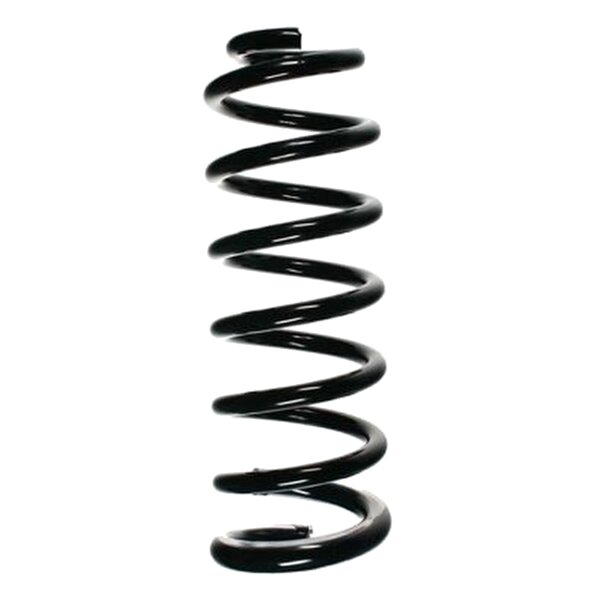 SPIDAN 56089 Fahrwerksfeder hinten
