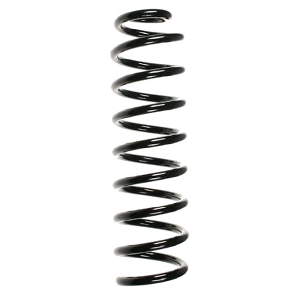 SPIDAN 56154 Fahrwerksfeder hinten