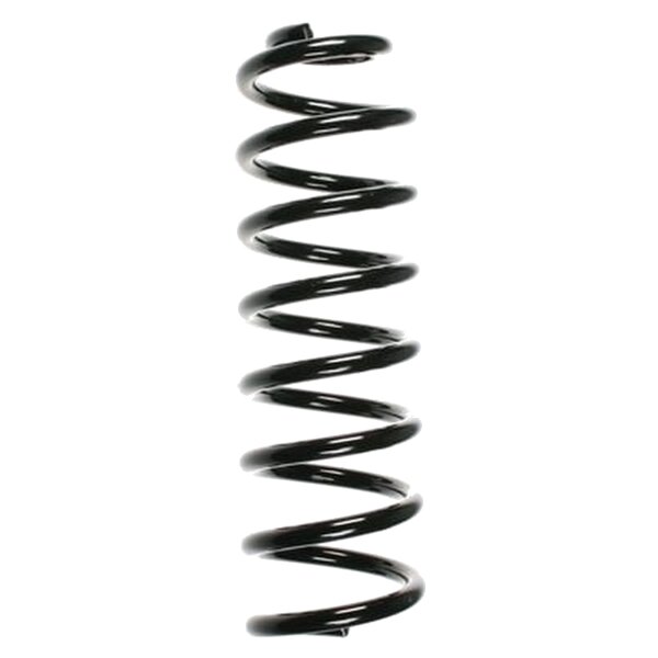 SPIDAN 56155 Fahrwerksfeder hinten