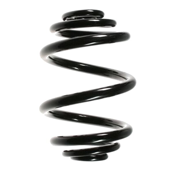 Suspension Spring Rear Axle Mini Block SPIDAN for RENAULT...