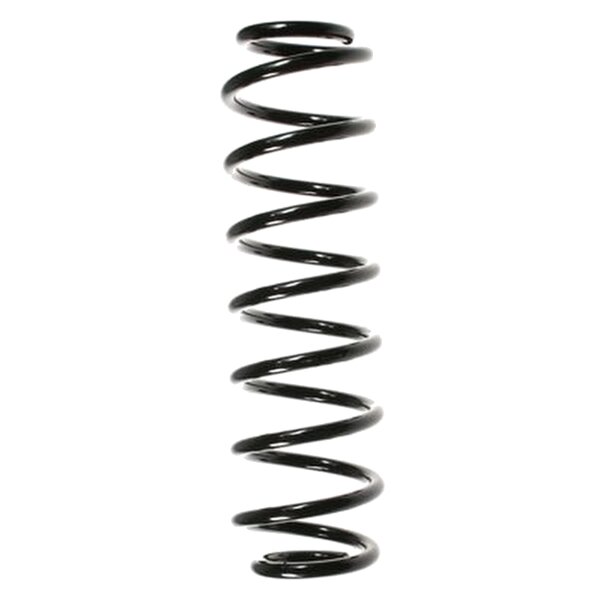 SPIDAN 56289 Fahrwerksfeder hinten