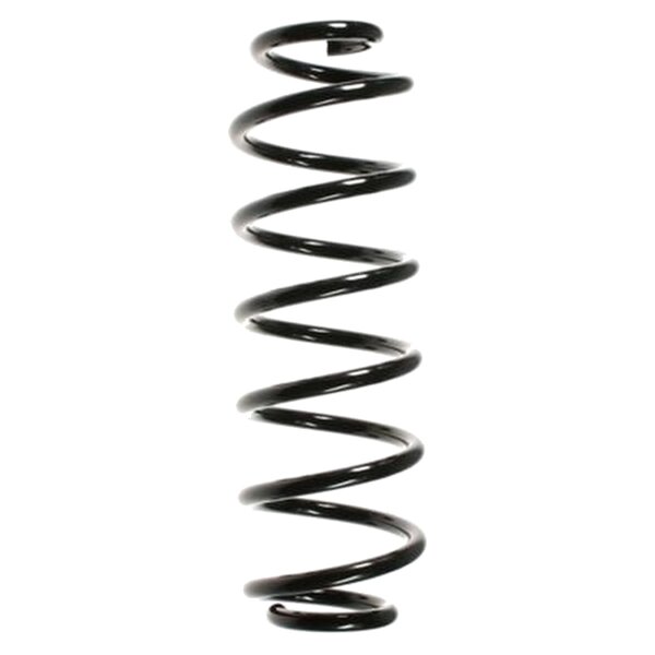 SPIDAN 56295 Fahrwerksfeder hinten