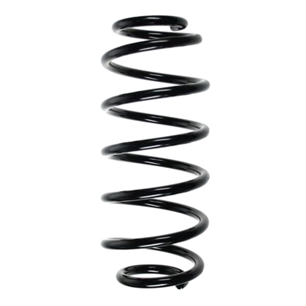 SPIDAN 56414 Fahrwerksfeder hinten