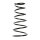 Suspension Spring Rear Axle Coil spring with constant wire diameter SPIDAN for TOYOTA Corolla