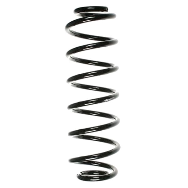 SPIDAN 56664 Fahrwerksfeder hinten