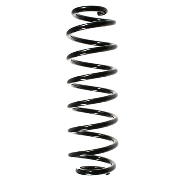 SPIDAN 56676 Fahrwerksfeder hinten