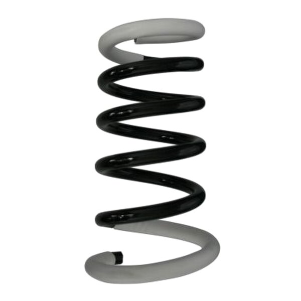 SPIDAN 56571 Fahrwerksfeder hinten