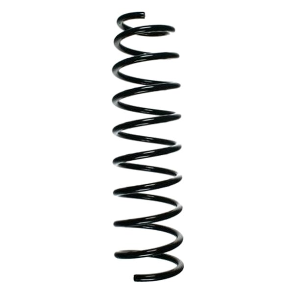 SPIDAN 56574 Fahrwerksfeder hinten