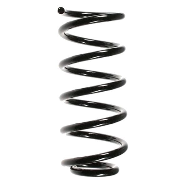 SPIDAN 56600 Fahrwerksfeder hinten