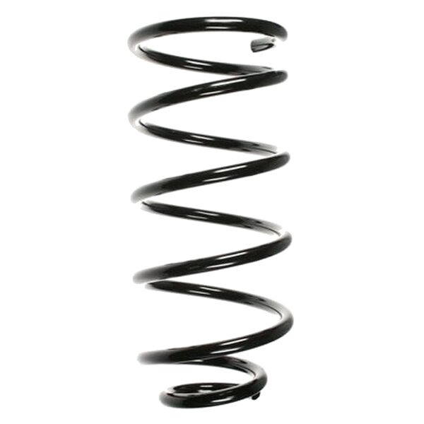 SPIDAN 56727 Fahrwerksfeder hinten