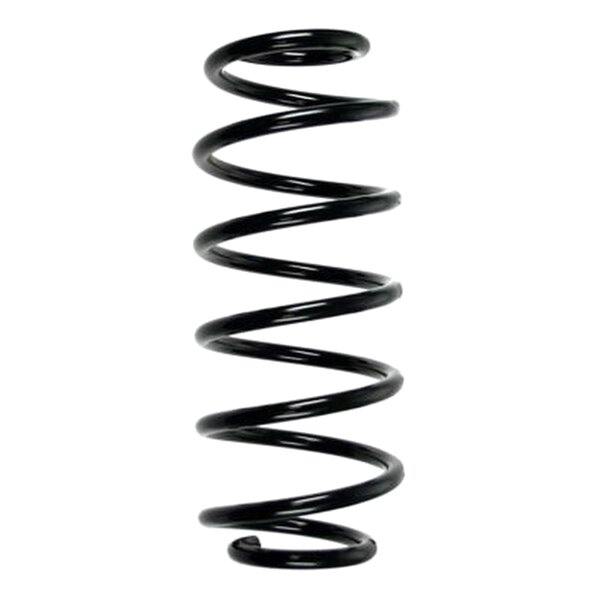 SPIDAN 56799 Fahrwerksfeder hinten