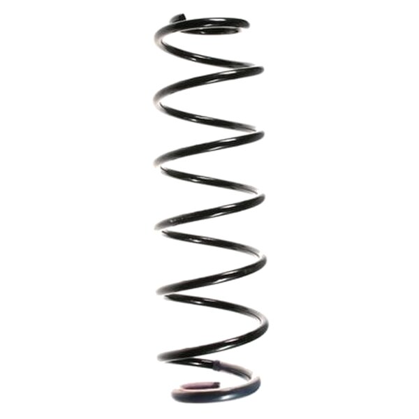 SPIDAN 56780 Fahrwerksfeder hinten