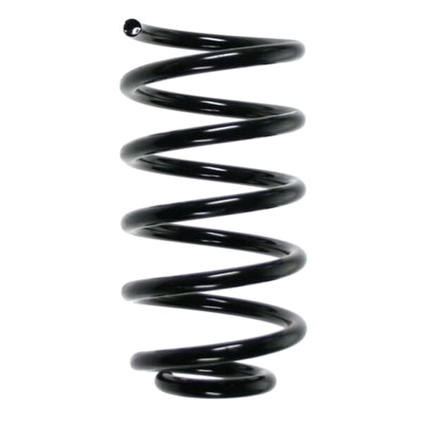 SPIDAN 56811 Fahrwerksfeder hinten