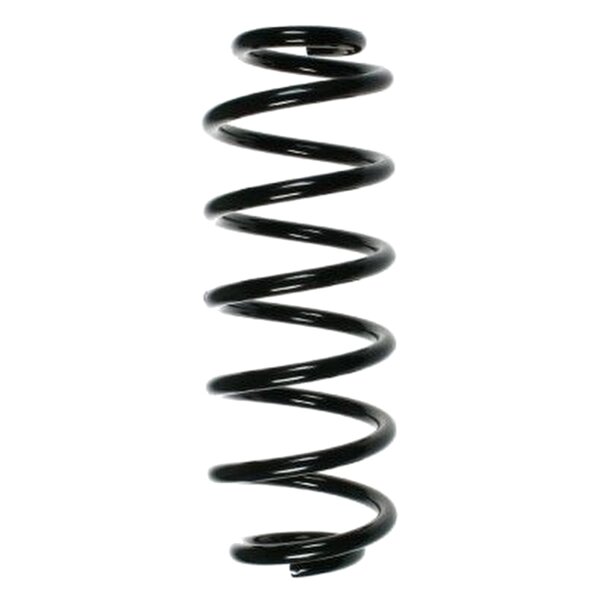 SPIDAN 56835 Fahrwerksfeder hinten