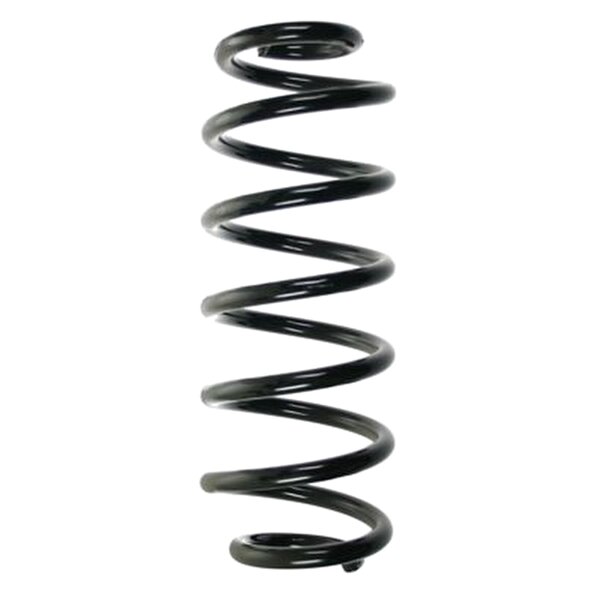 SPIDAN 56848 Fahrwerksfeder hinten