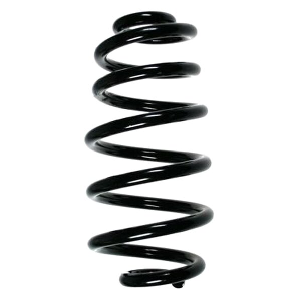 SPIDAN 56854 Fahrwerksfeder hinten