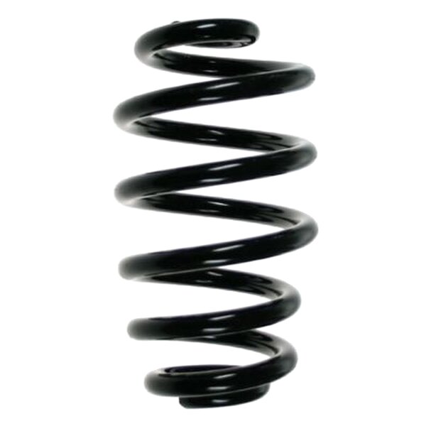 Rear suspension spring coil spring 256mm SPIDAN for AUDI A4 B7