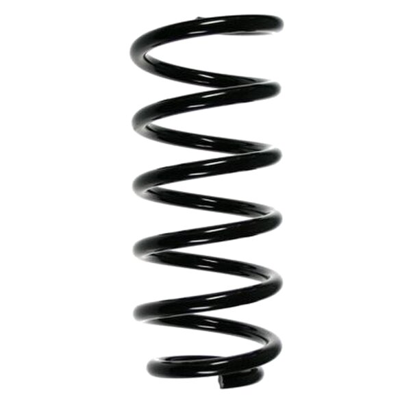 SPIDAN 56879 Fahrwerksfeder hinten