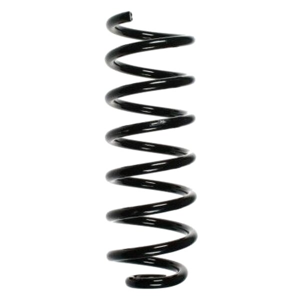 SPIDAN 56885 Fahrwerksfeder hinten