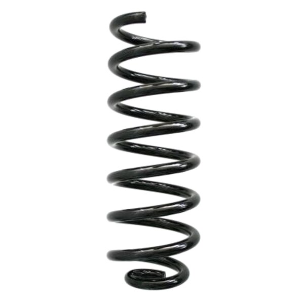 SPIDAN 56886 Fahrwerksfeder hinten