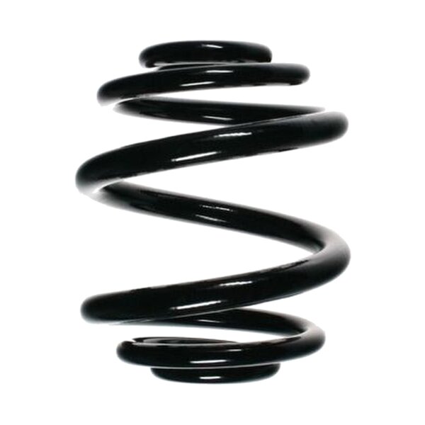 Suspension Spring Rear Axle Mini Block SPIDAN for e.g....