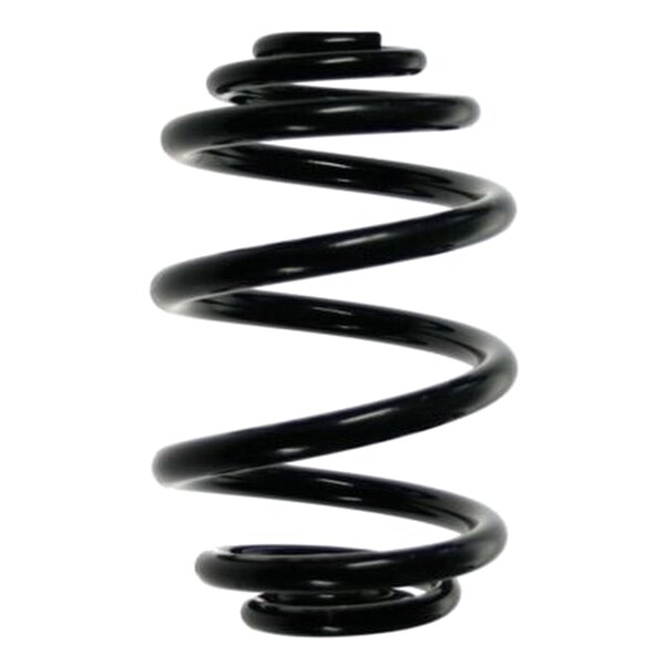 Suspension Spring Rear Axle Mini Block SPIDAN for BMW Z4...