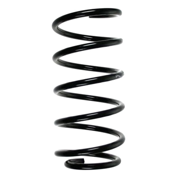 SPIDAN 56999 Fahrwerksfeder hinten