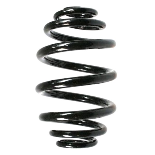 SPIDAN 48456 Fahrwerksfeder hinten