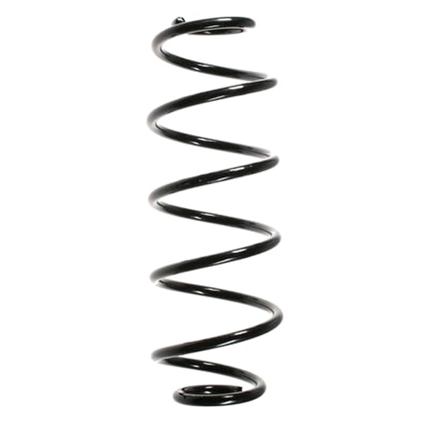 SPIDAN 85006 Fahrwerksfeder hinten