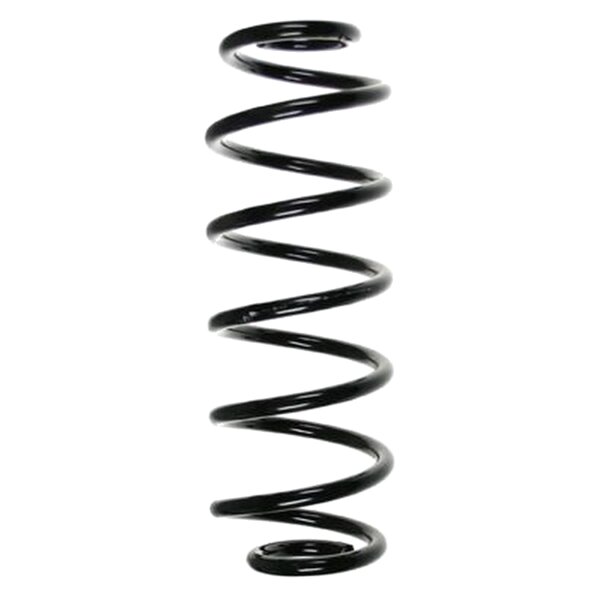 SPIDAN 85010 Fahrwerksfeder hinten