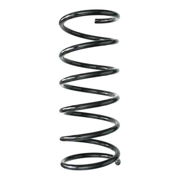 SPIDAN 85032 Fahrwerksfeder hinten