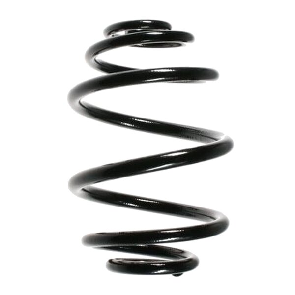 SPIDAN 48504 Fahrwerksfeder hinten
