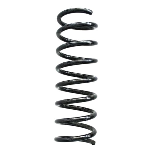 SPIDAN 85055 Fahrwerksfeder hinten