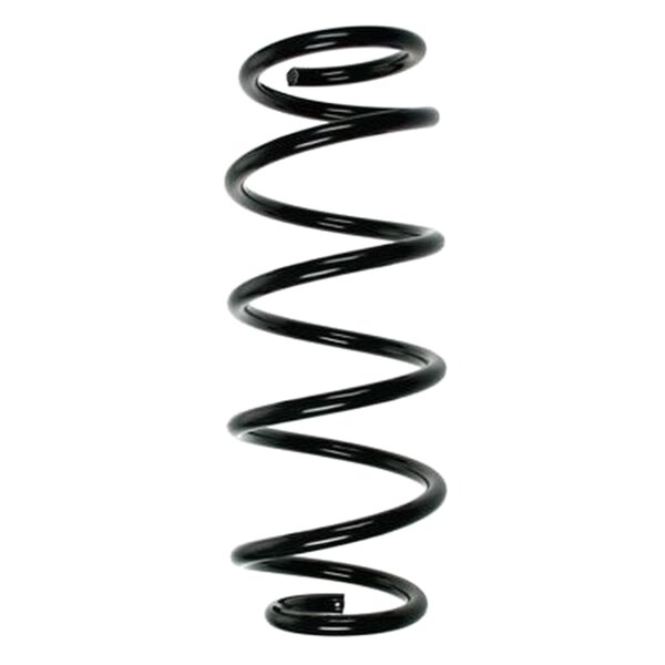 SPIDAN 85147 Fahrwerksfeder hinten