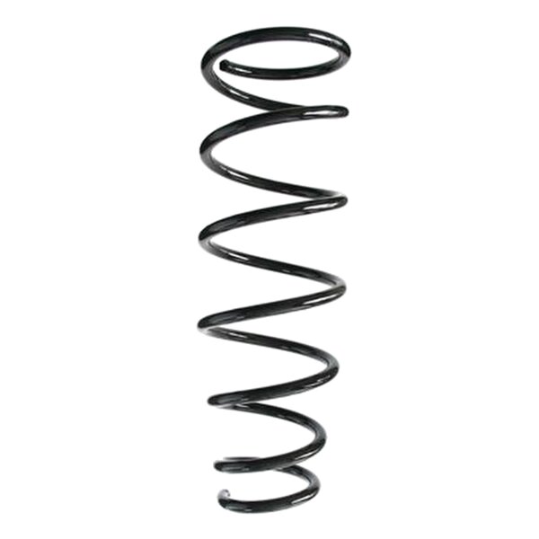 SPIDAN 85166 Fahrwerksfeder hinten