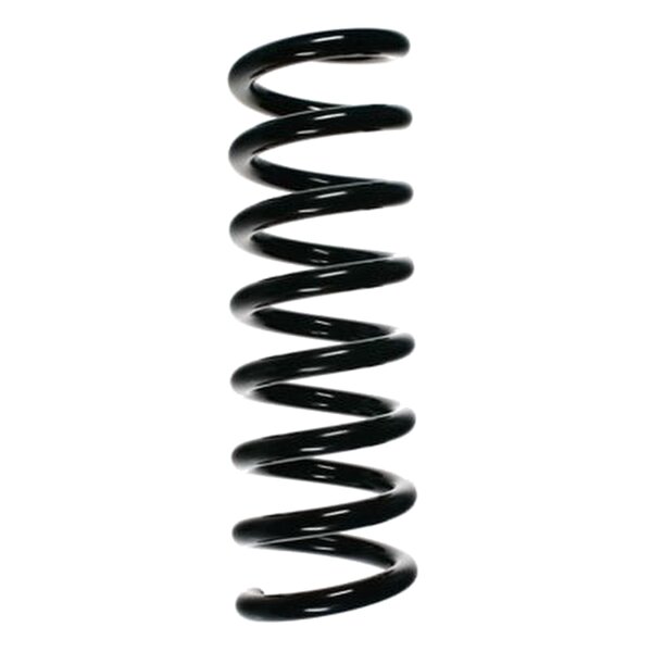 SPIDAN 85211 Fahrwerksfeder hinten