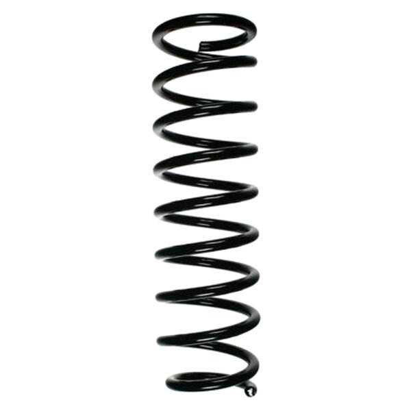 SPIDAN 85259 Fahrwerksfeder hinten