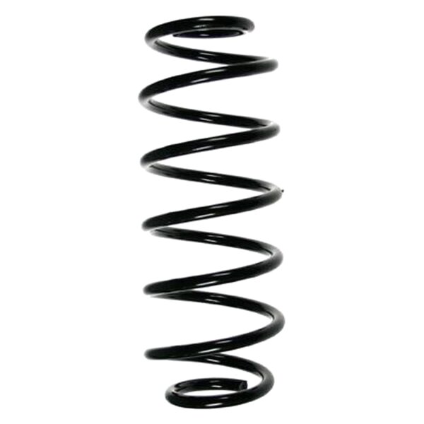 SPIDAN 85249 Fahrwerksfeder hinten