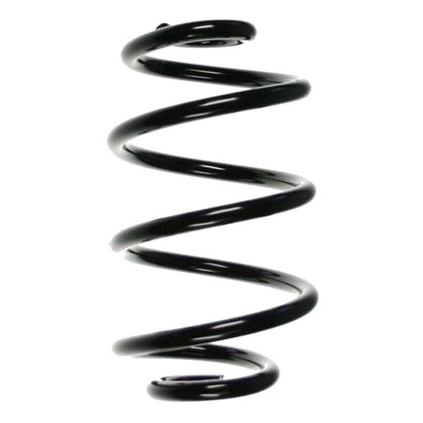 SPIDAN 85295 Fahrwerksfeder hinten
