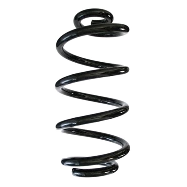 SPIDAN 85316 Fahrwerksfeder hinten