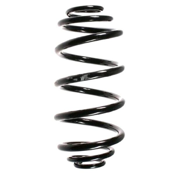 SPIDAN 85355 Fahrwerksfeder hinten
